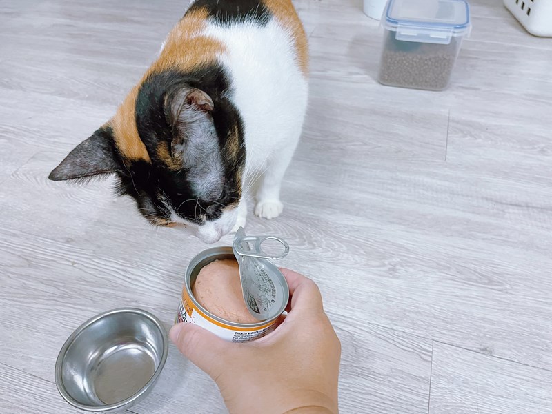 女人知己試用大隊,口碑行銷,部落客行銷,PURRFACT 波菲特貓用主食罐,主食罐,PURRFACT波菲特,貓主食罐,貓罐,PURRFACT波菲特貓用主食罐,魚肉蔓越莓主食罐,鮮嫩雞主食罐,鹿肉雞肉主食罐,牛肉鵪鶉貓主食罐,干貝蠶蛹配方,鱷魚肉白木耳配方,雞肉魚肉配方,安心鶉配方,評價,體驗,適口性佳,心得,成貓適用,高齡貓適用,質地是慕絲狀